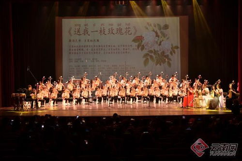 花韻琵琶傳雅韻，彩云之南奏華章——首屆彩云花韻琵琶文化藝術(shù)周系列活動圓滿落幕