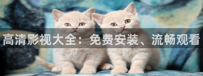 酷客電影免費觀看